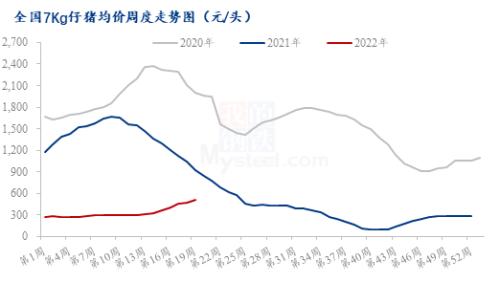 Mysteel解读：猪价上涨后的反链反应