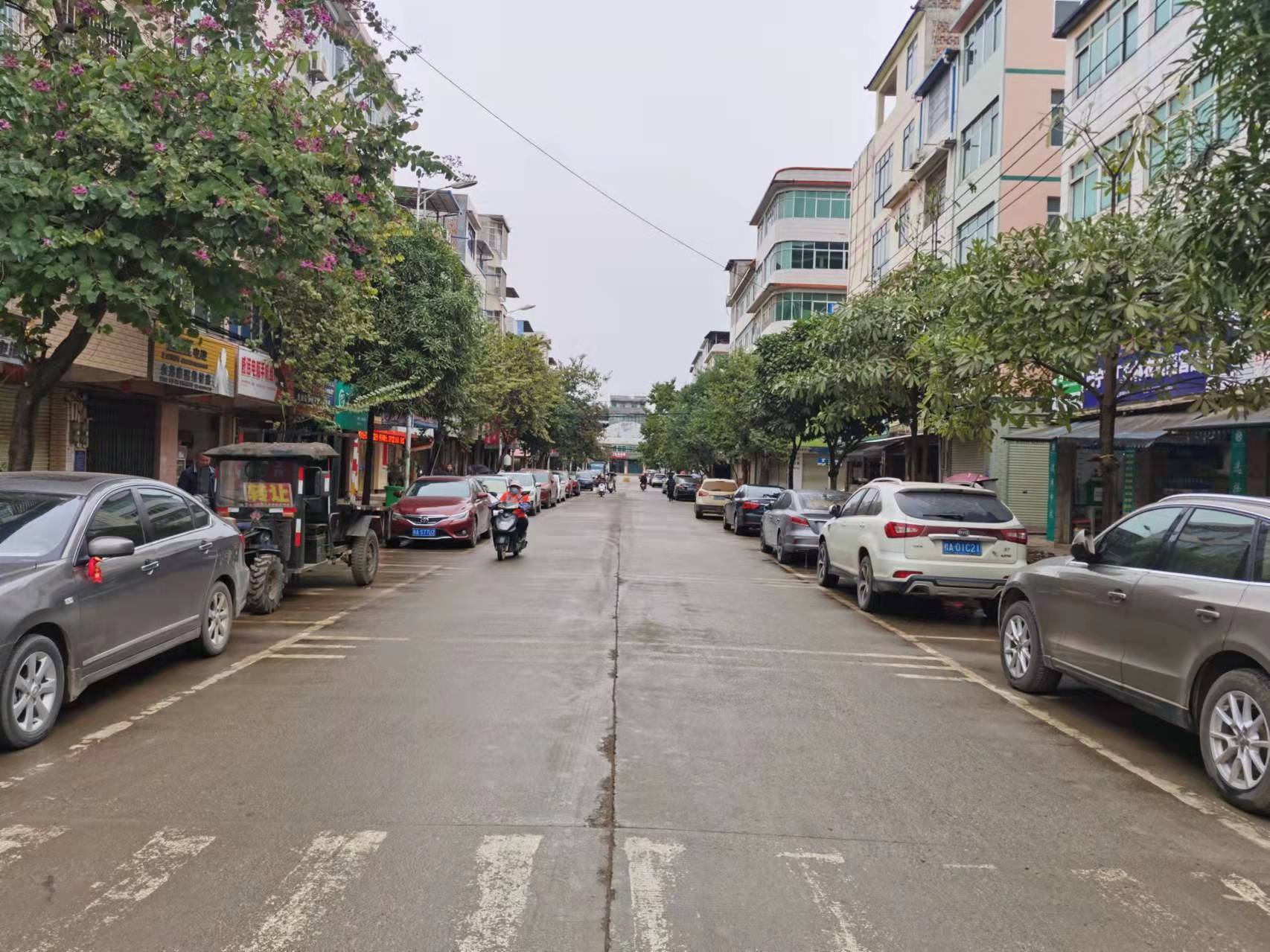 西乡塘区:坛洛镇多措并举推进创城工作巩固提升