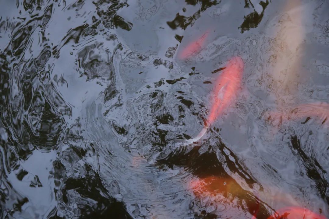 成都出发05h500岁藤王见识过30岁茅厮饭店呢