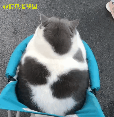 449_461gif 动态图 动图
