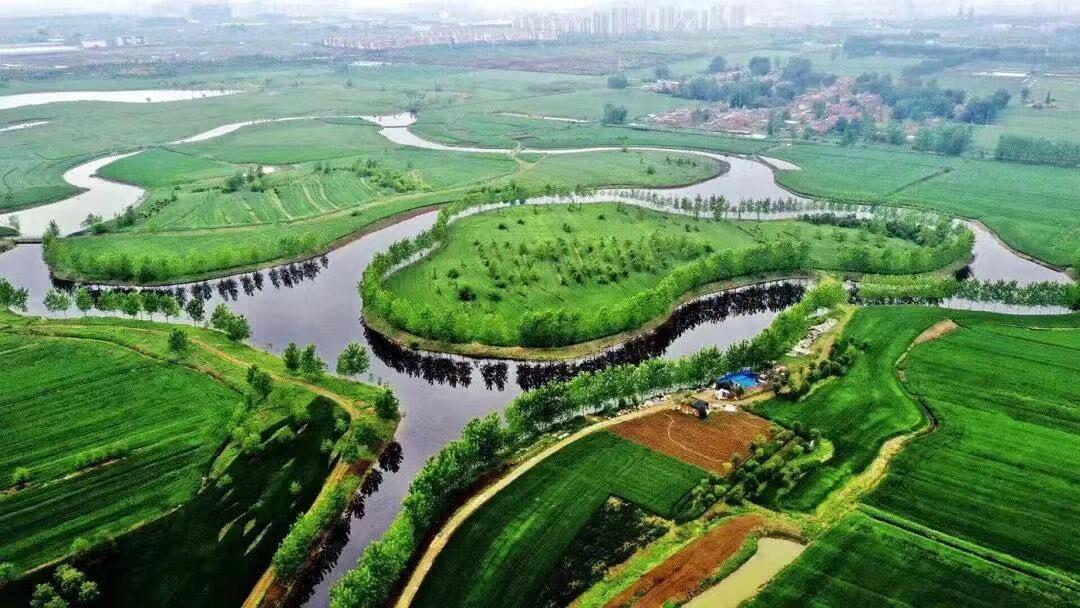 江苏省地质学会推荐会员荣获金锤奖,金罗盘奖