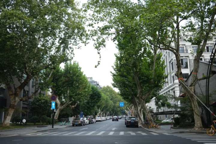 西湖天地二期揭开神秘面纱,海派建筑,售价5000万元起步!