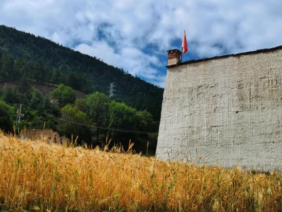 促发展,感党恩】乡城县喜庆"中国农民丰收节"之沙贡乡,热打乡,洞松乡