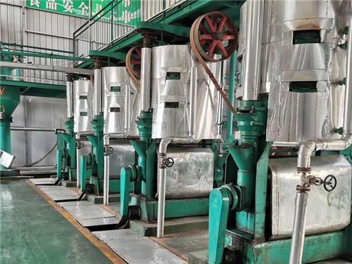 大型成套动物油熬炼设备加工生产厂家