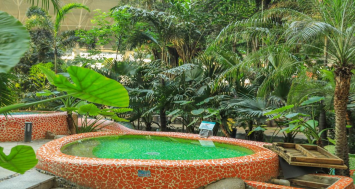 温泉区设计新颖,造型独特,温泉水来自于深海岩层,鉴定为"氟型淡温泉"