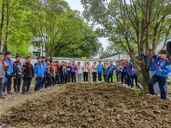 龙山县红岩溪镇中心小学:劳动基地实践教育活动全面启动