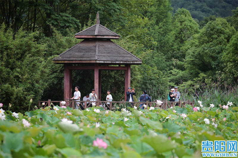 花溪公园 十里河滩图片