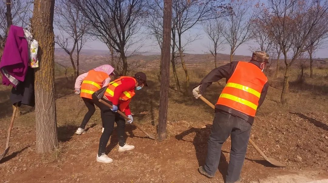 崇信县木林乡扎实开展秋季植树造林工作