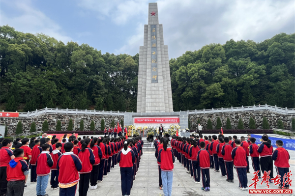 益阳市赫山区桃花仑小学开展清明祭英烈活动