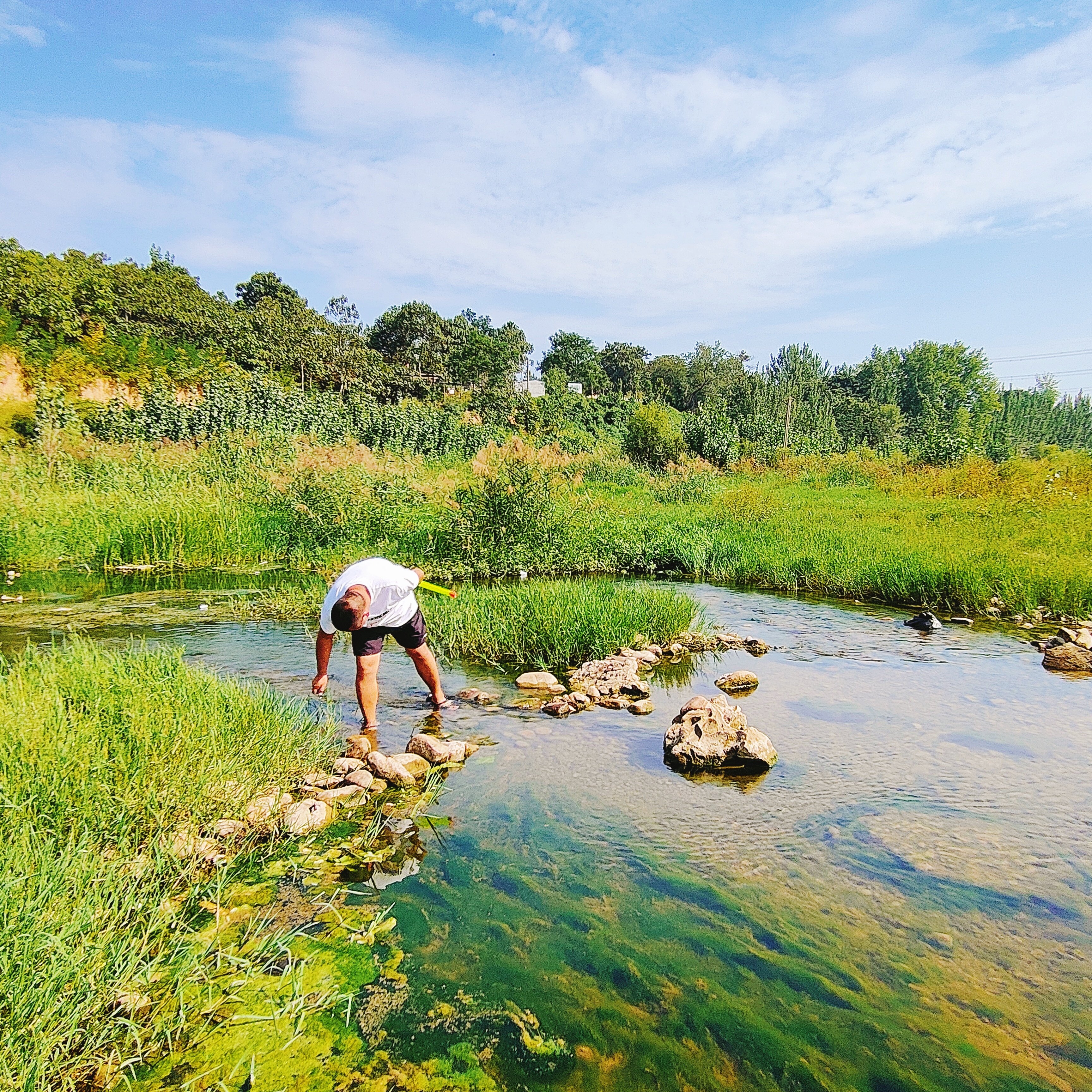 禹州沙陀湖:风景这边独好!