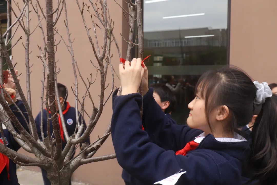 徐汇区徐汇实验小学"五乐"少年 | "植"此青绿 未来可期
