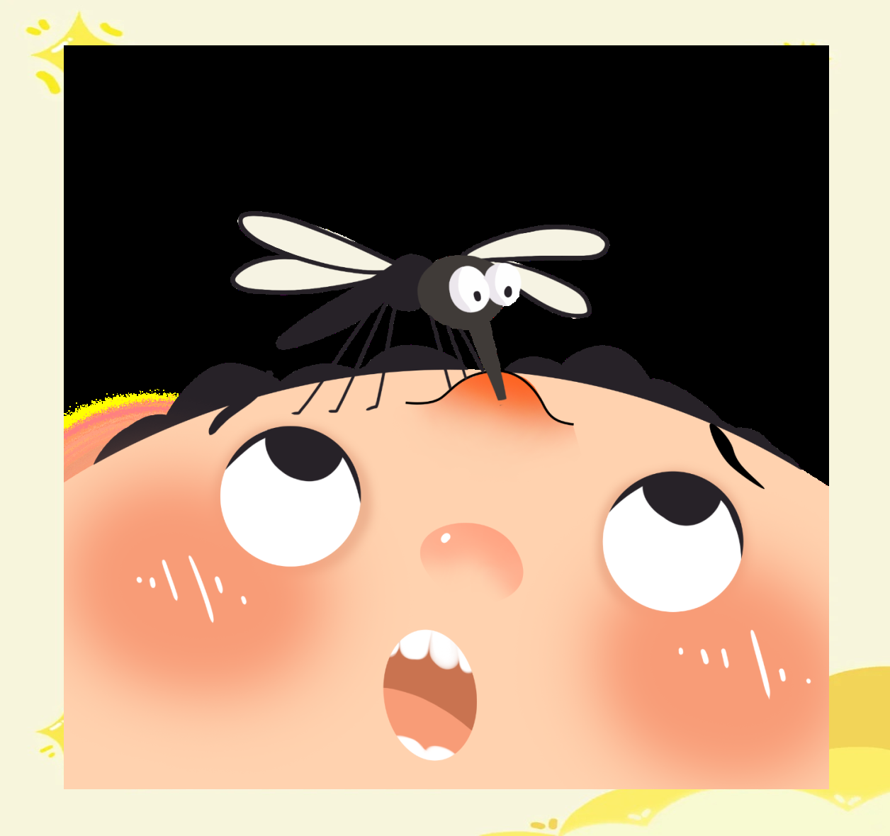 家中的蚊子都是自己养的吗?了解真相从此轻松驱蚊