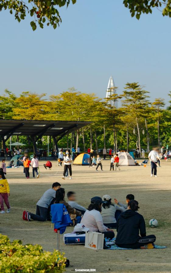 免費又好玩 | 深圳灣公園 · 一日遊玩指南