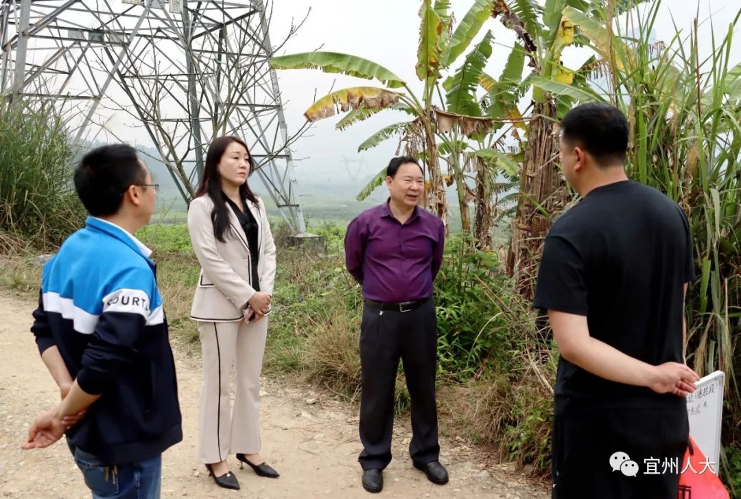吴兴慧调研河池至荔波高速公路项目征地拆迁工作