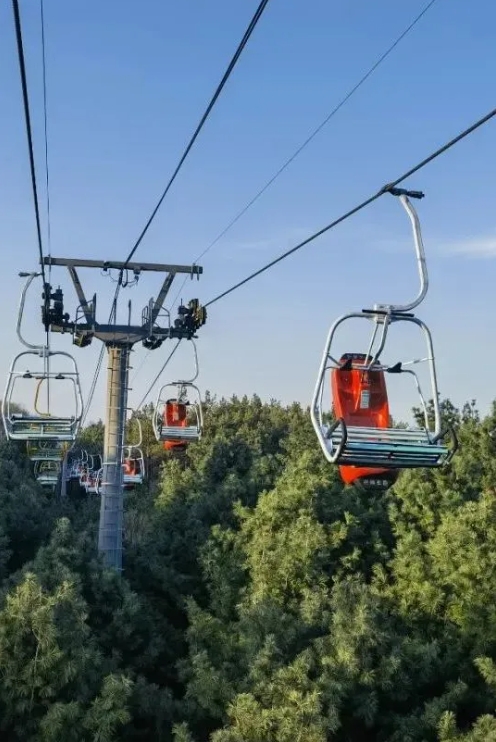 期待,在莲花山邂逅浪漫春天