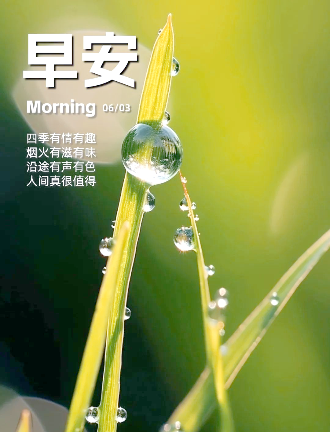 早上好正能量语录,金句精选,励志句子汇编