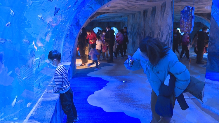 东营区海狮表演灯光秀海洋馆里闹新春