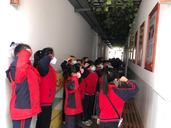 逍林镇中心小学举行"爱在春天"美术课堂作业展