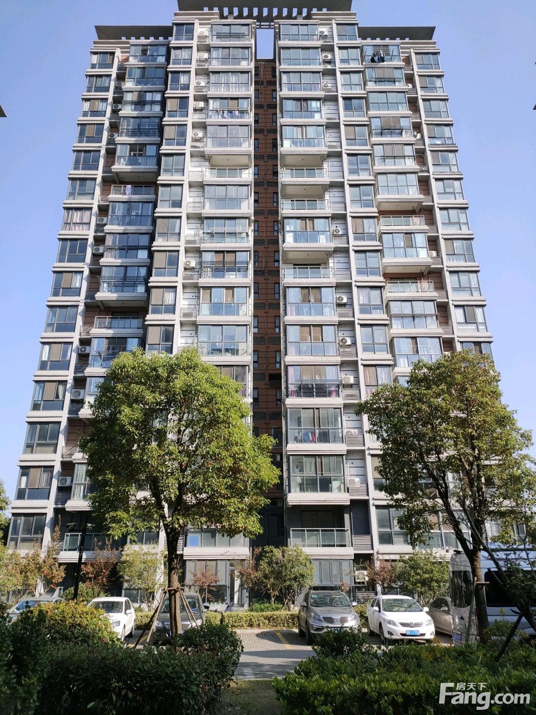 九龙湾树人园新拍现场图片,实时了解楼盘新动态!