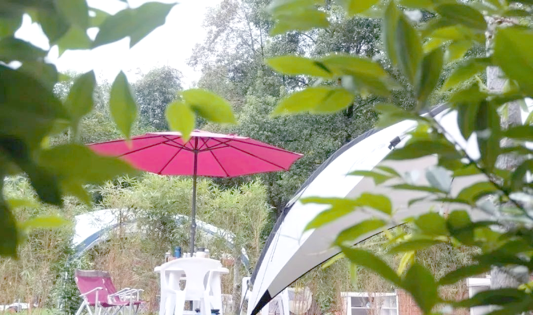 九峰镇:乐山嘉华水泥厂旁的艺术与烟火小镇