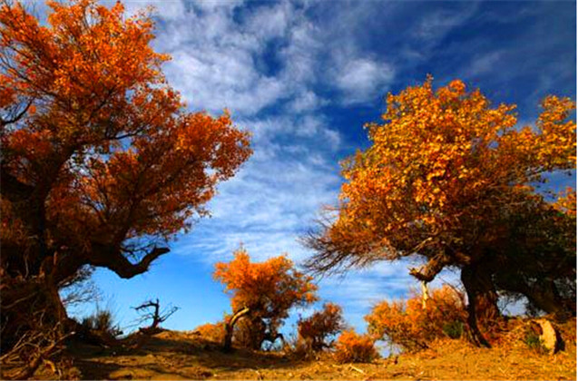 二人世界:国内最佳情侣度假胜地