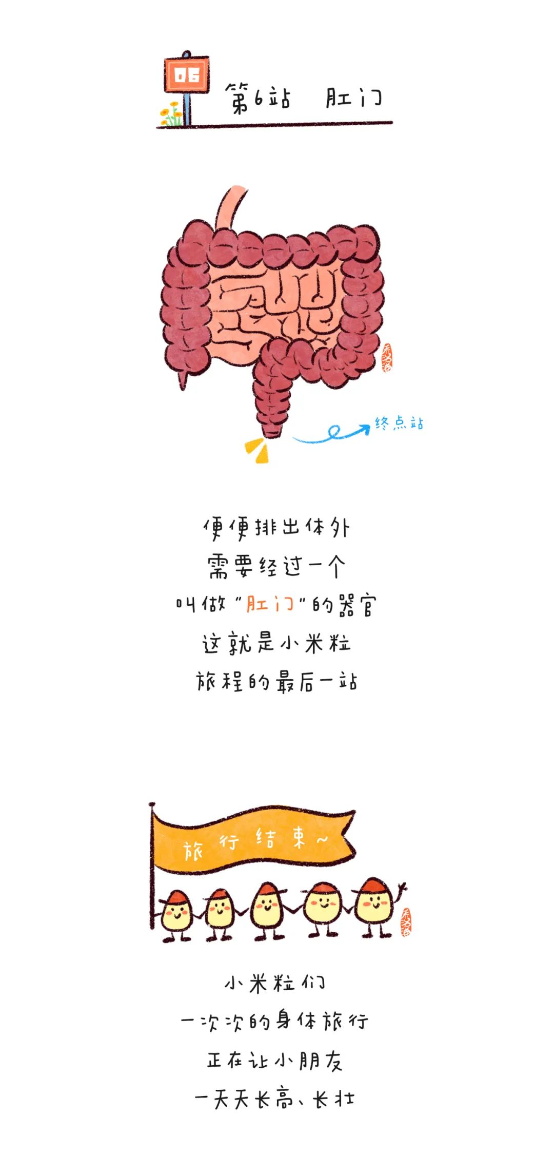 漫画 | 一张图让宝贝了解食物在身体里的"旅行"