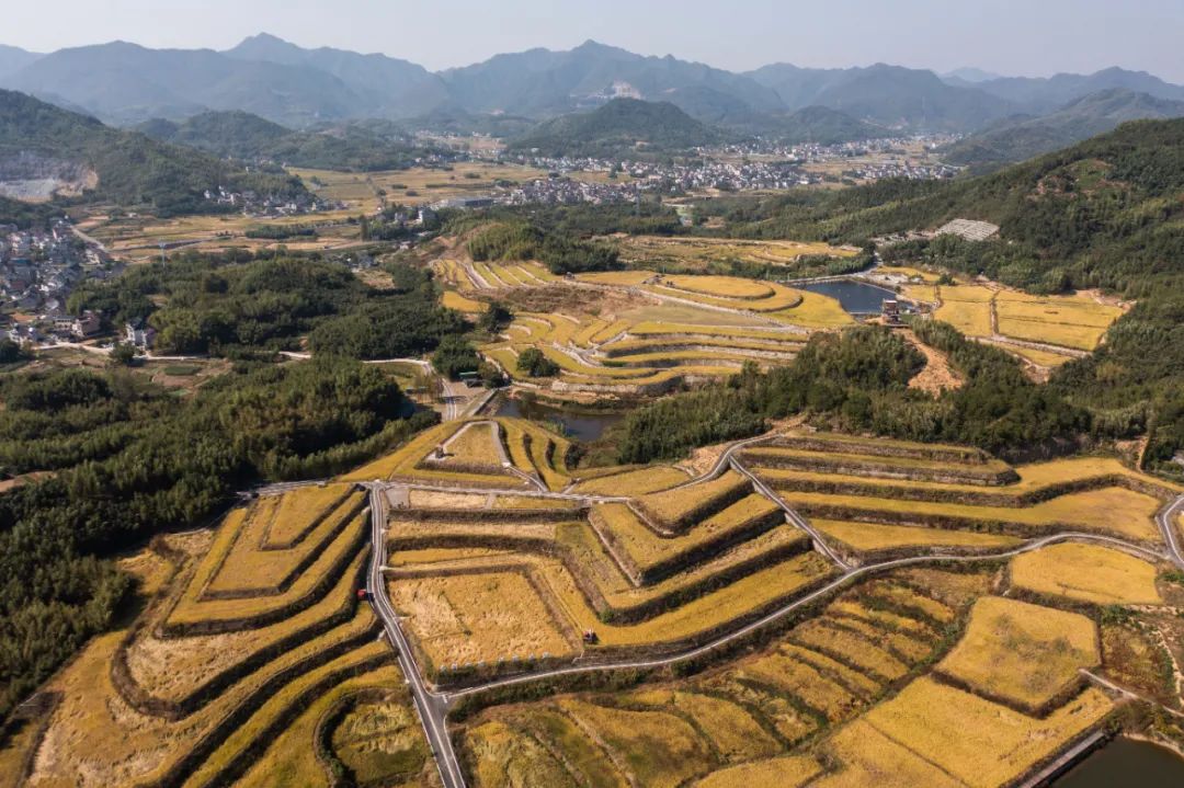 丘陵山地,农机如何"跑"起来?