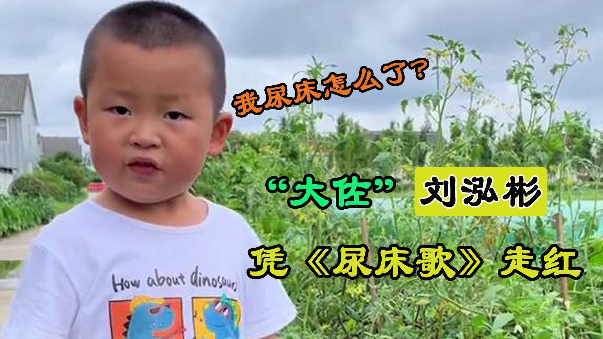 6岁萌娃说话酷似日语被称大佐凭开学歌尿床歌走红网络