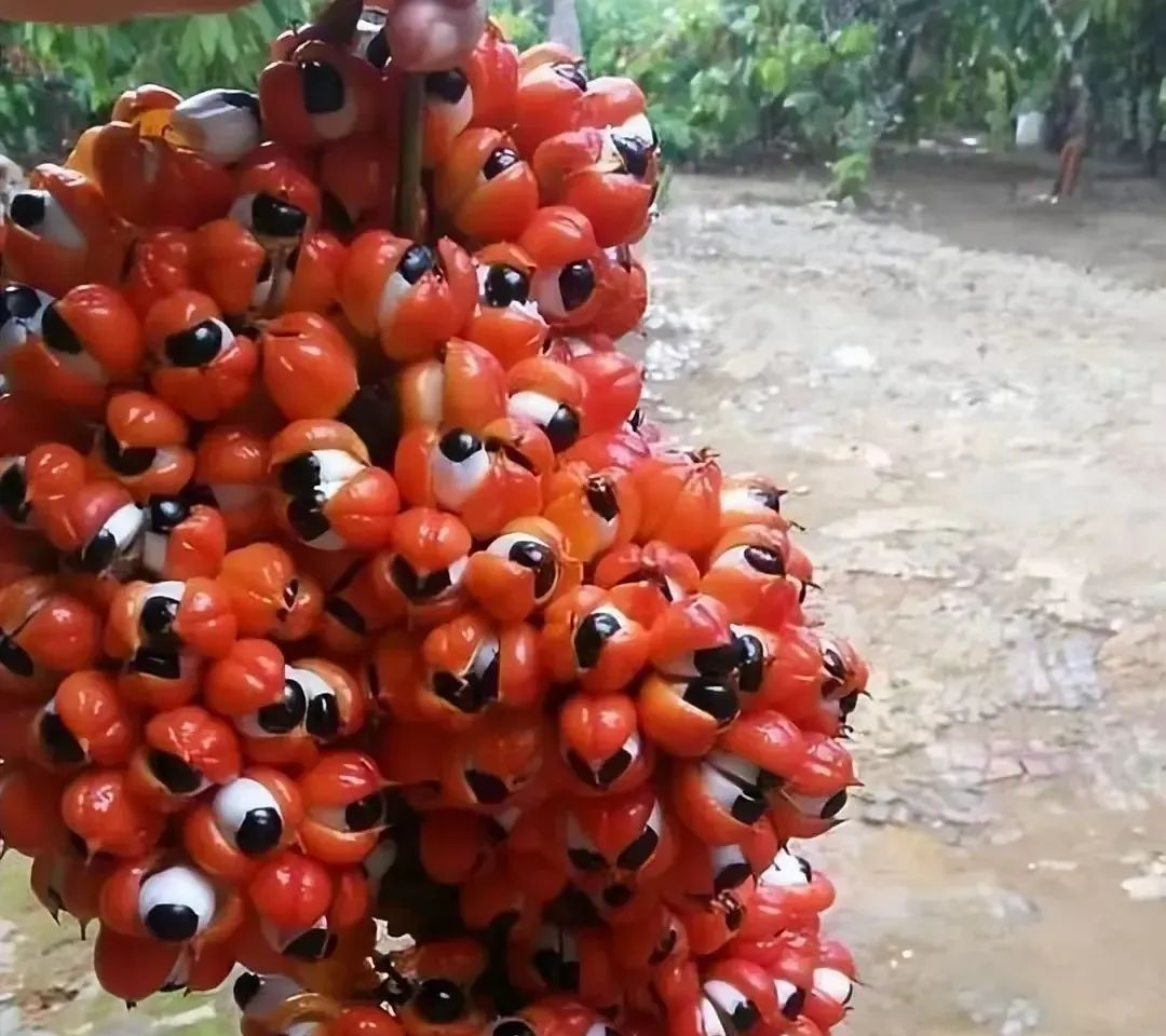 众多稀奇古怪的图片,每一张都让人大开眼界