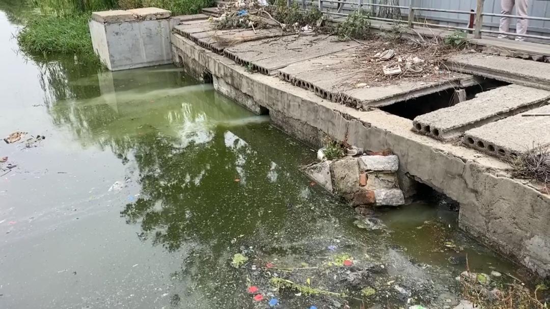 山东省菏泽市黑臭水体整治不力 水体返黑返臭问题突出