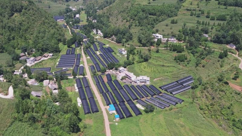 「脱贫攻坚走基层·钟山区」木果镇:食用菌产业扶农增收