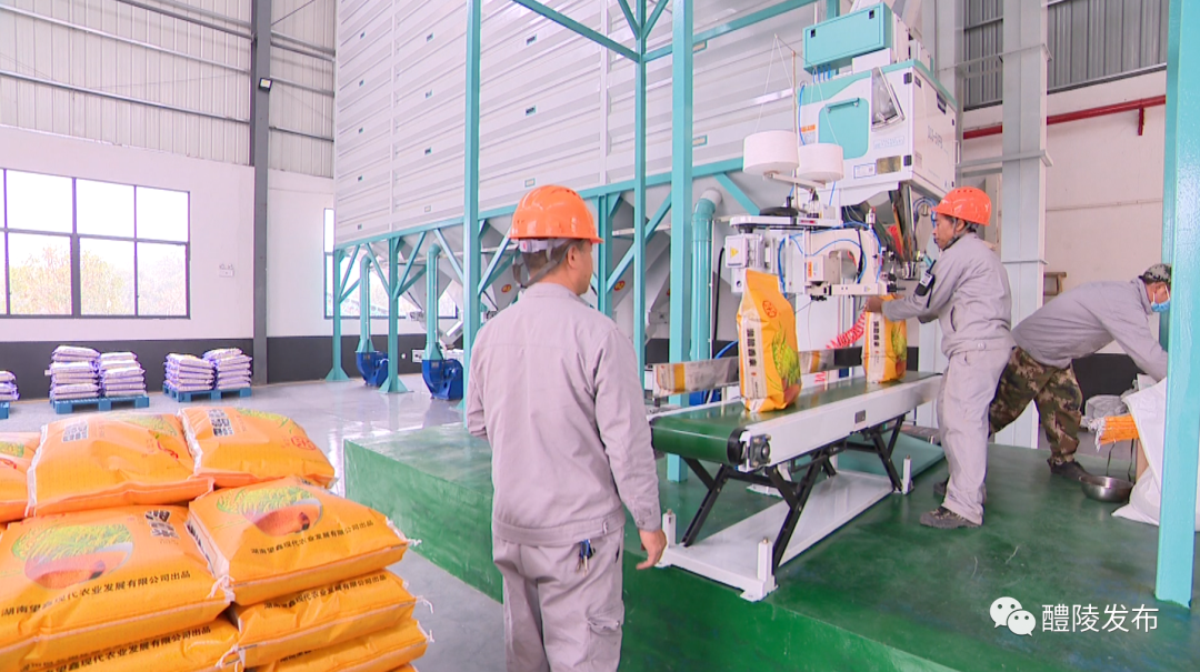 20万亩无公害优质水稻种植及加工产业项目一期投产