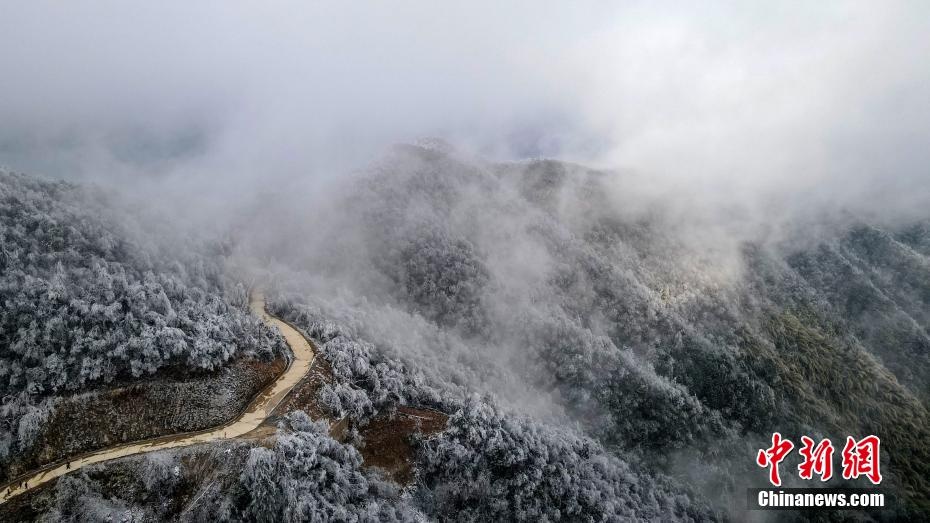 江西新餘大崗山主峰換銀裝 呈現冰稜霧凇美景