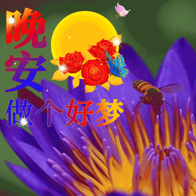 包含打招呼,美好祝福等送你一全套老少皆宜的荷花表情包全景遂宁客户