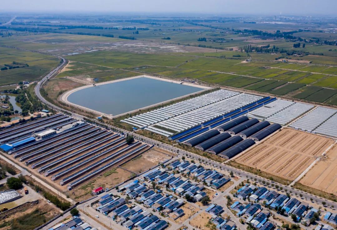 杨时云:在新型集体经济高质量发展中促进农民农村共同富裕