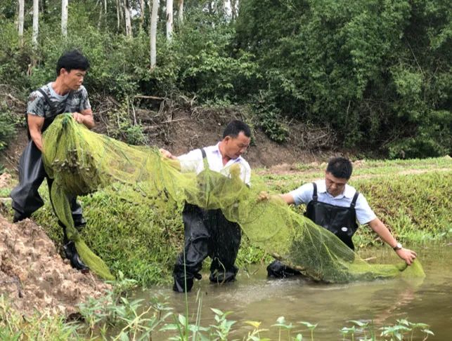 咱村的小康故事191仁南村昔日贫困村如今幸福村