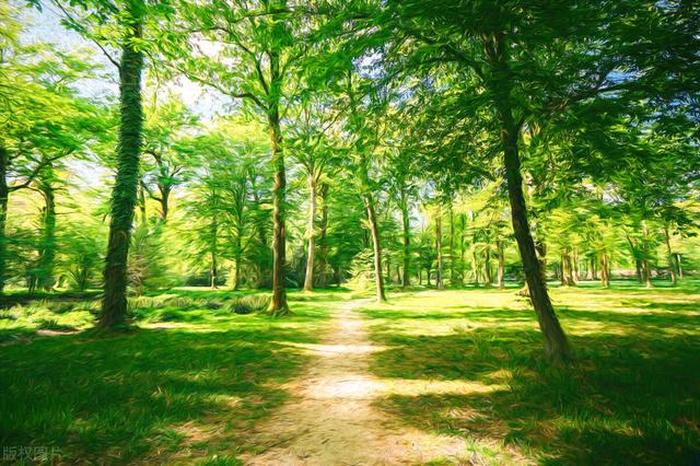 低头看书,抬头看世界