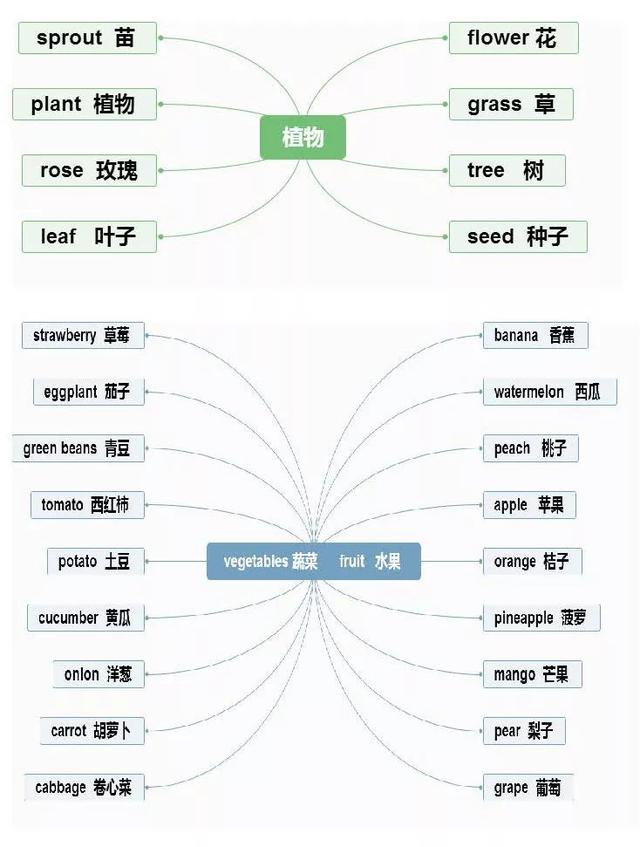 54張基礎英語思維導圖:涵蓋英語單詞,句型梳理!(可打印!