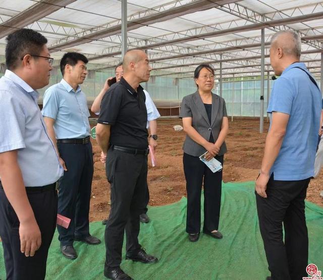 巩宪群到南部山区开展现代化强省会专项监督调研