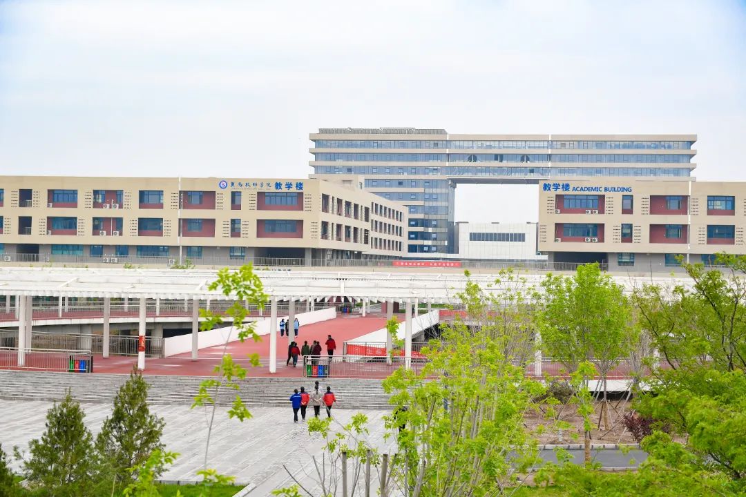 冀南新区要建大学了图片