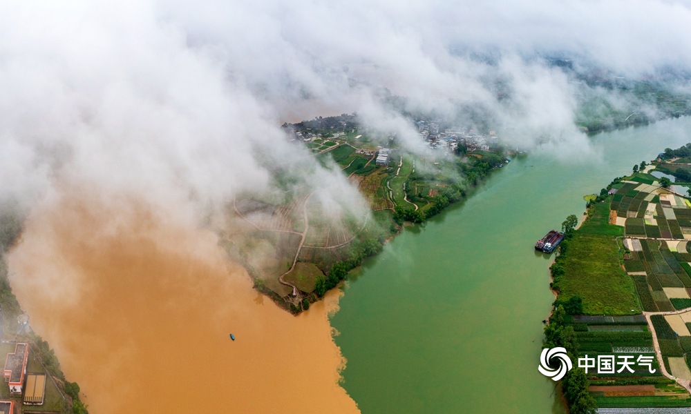 广西左江右江泾渭分明 邕江汇合处现"鸳鸯江"奇景
