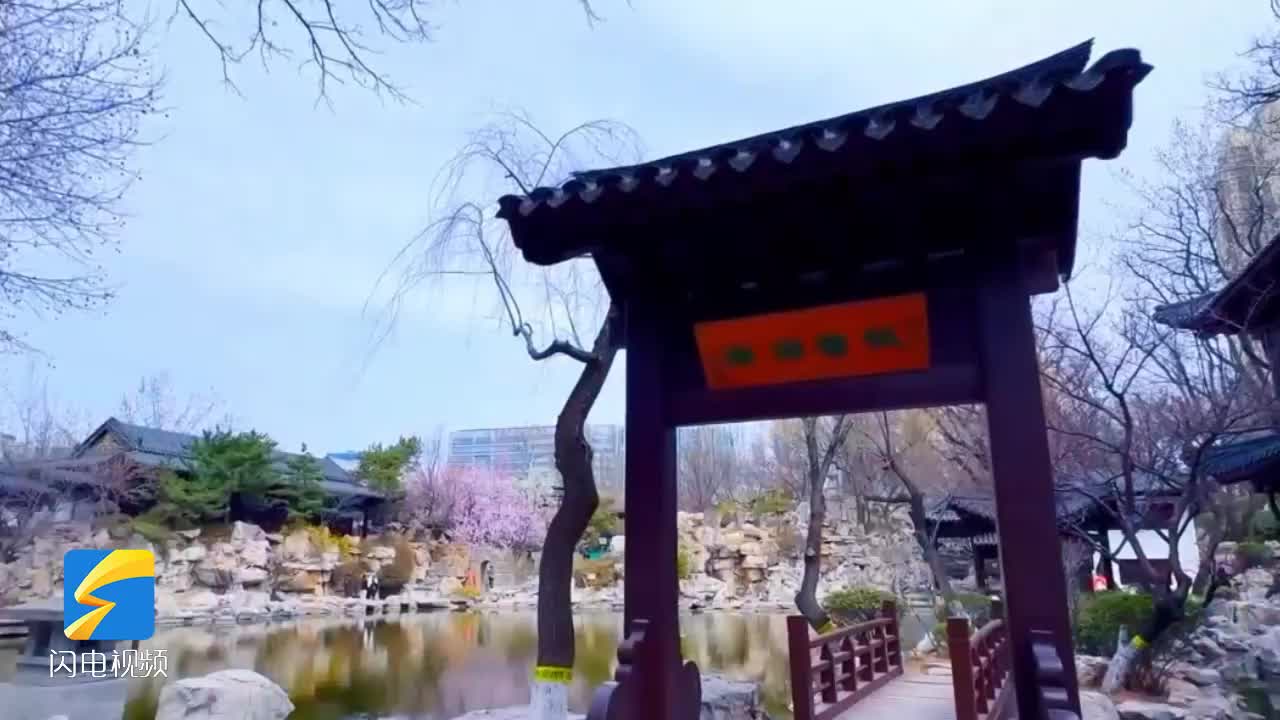 潍坊人民公园披上"春日彩衣" "花海"美景美不胜收
