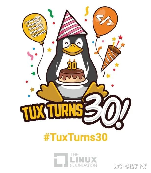 「只是為了好玩」——寫在linux30週年之日