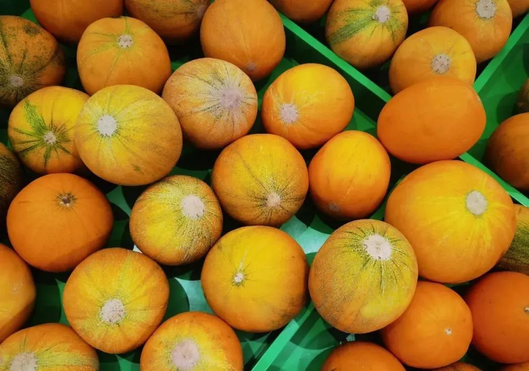 花兰柿?汉堡?都是甜蜜的误会