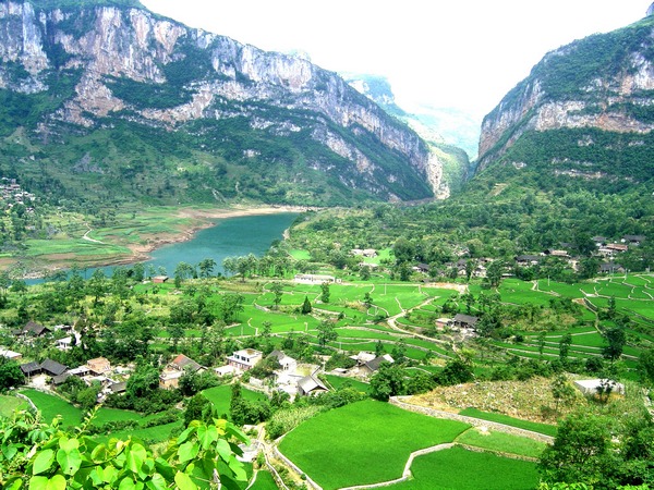 修文县大石乡:石旮旯里绽放"幸福花"