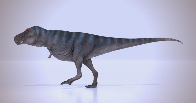 1993年,美国科学家对霸王龙的腿部结构数据进行了深入研究,将其与多种