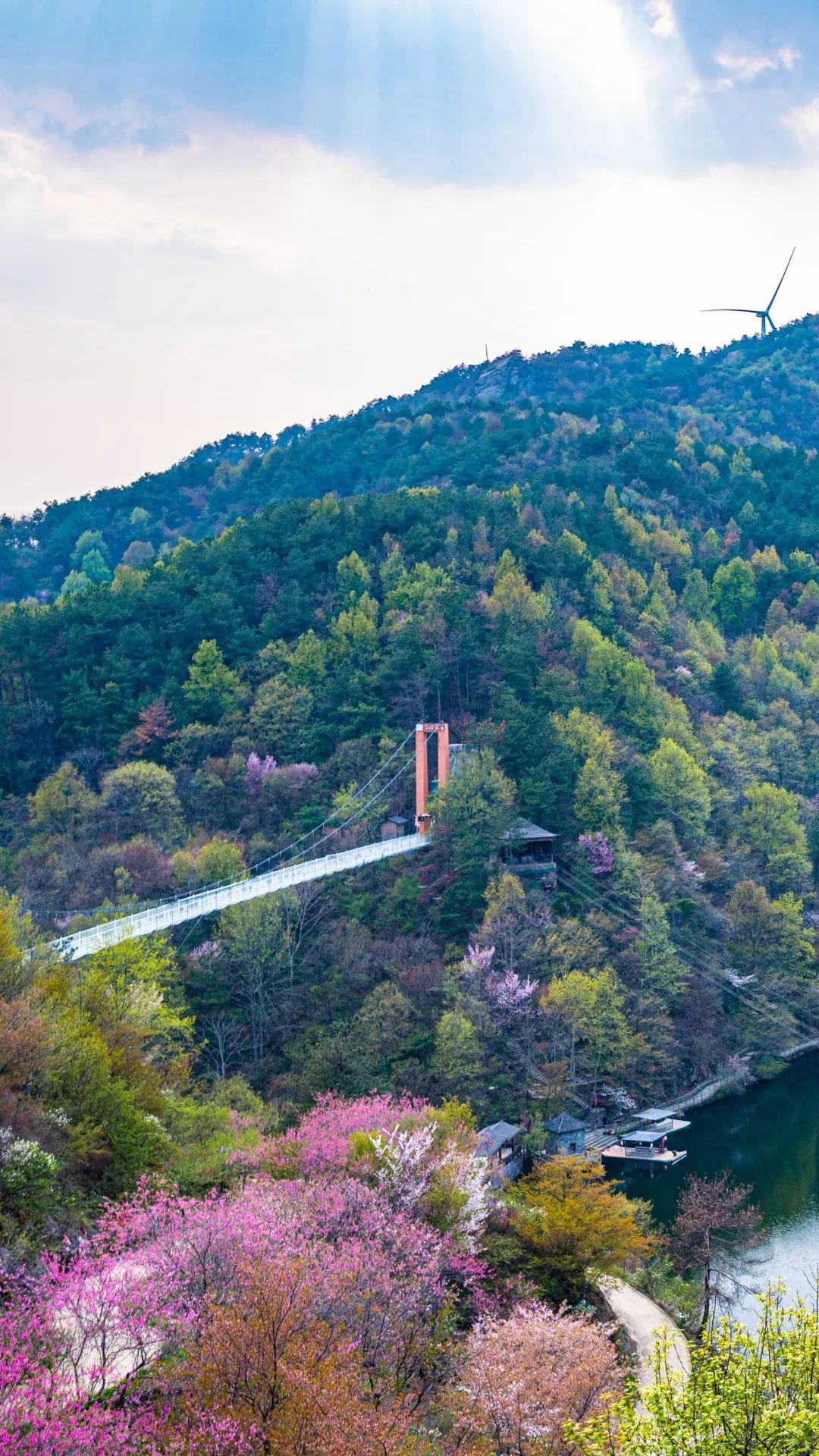 樱落晚枫亭,花漫酒醉湖,清凉寨的樱花无论从哪个角度拍都很美.