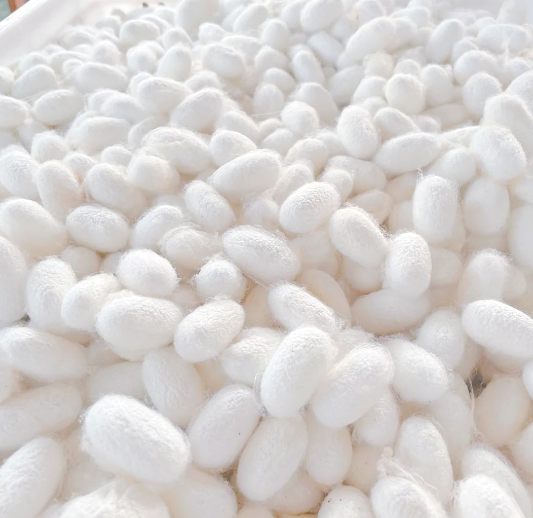 平山乡蚕茧丰收,农户喜获增收成果