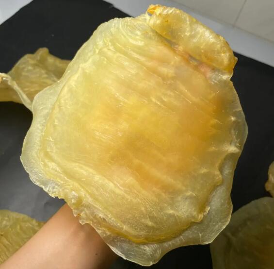 15年老渔民告诉你台山赤嘴鱼胶的价格一般多少钱