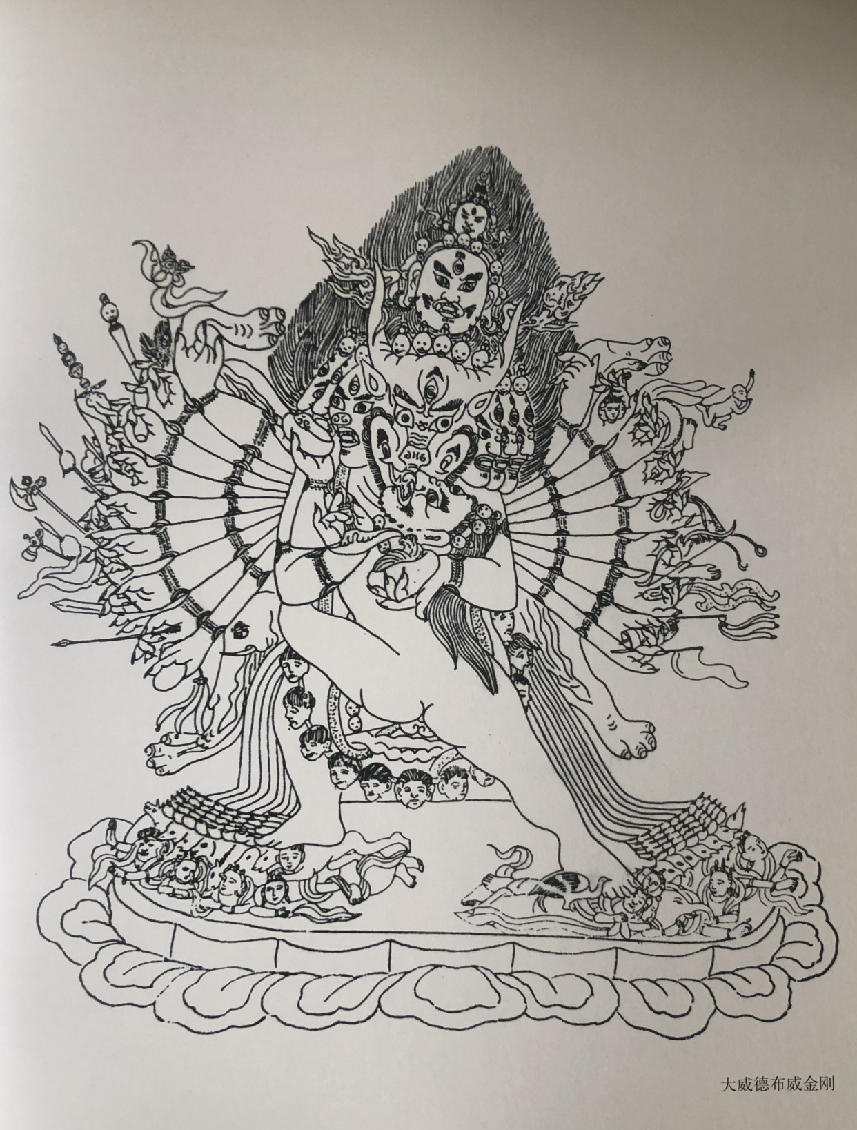 画家杨明——"大威德布威金刚"浅释